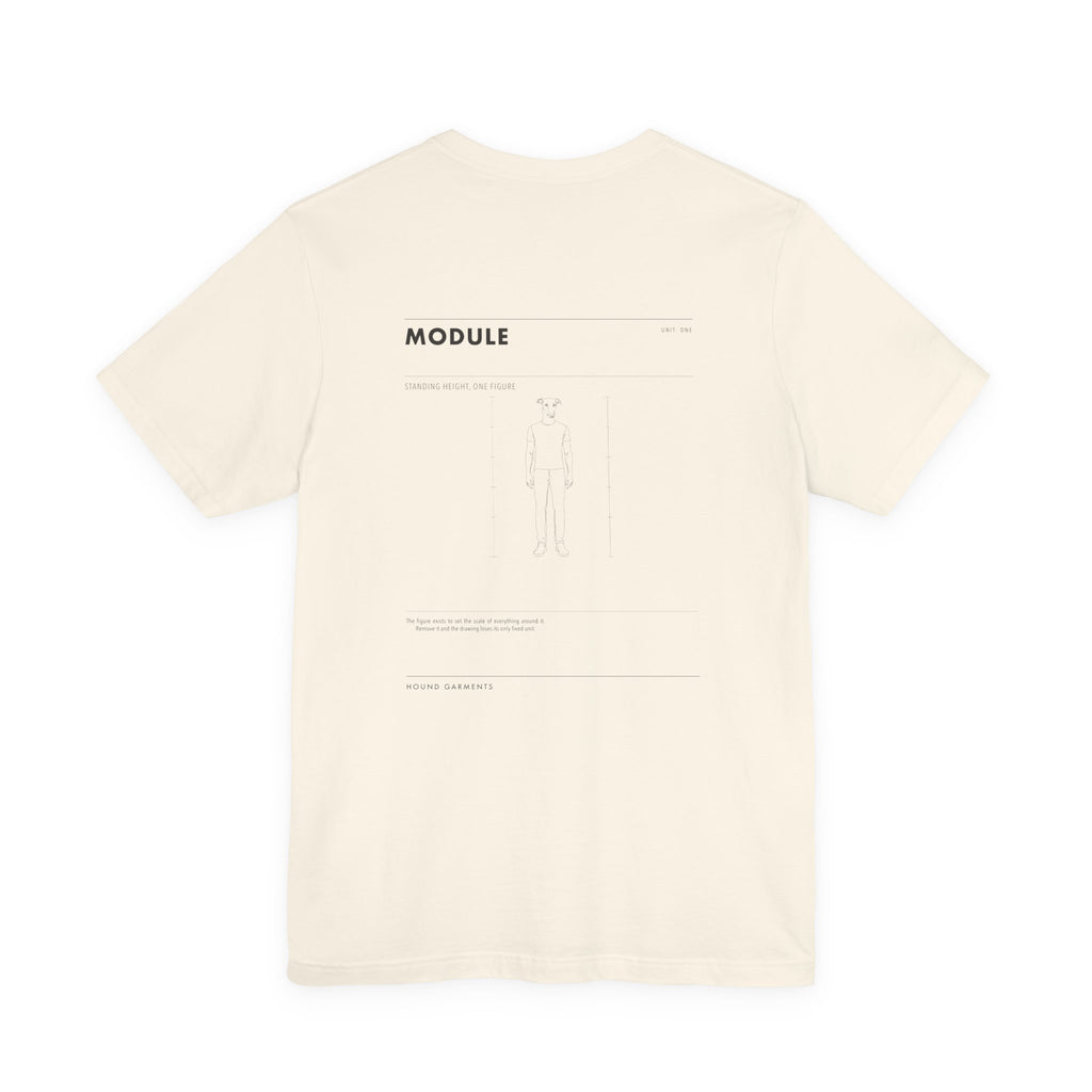 MODULE
