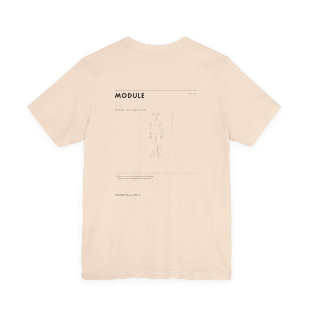MODULE