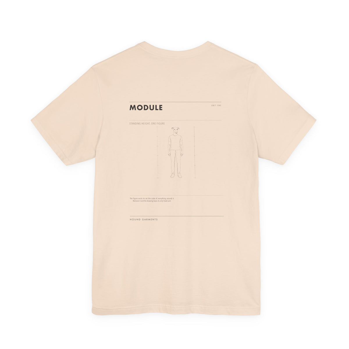 MODULE