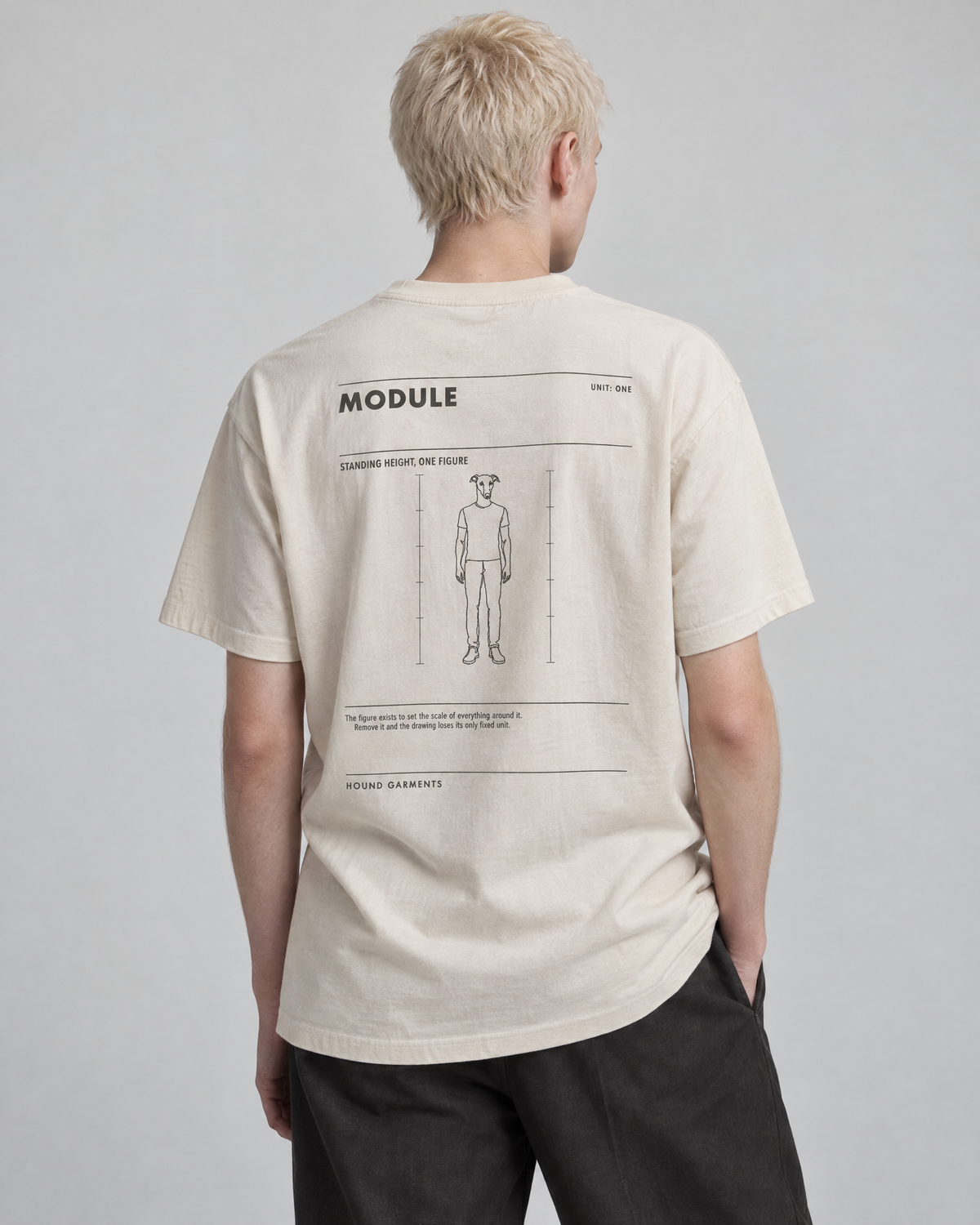 MODULE — editorial photograph